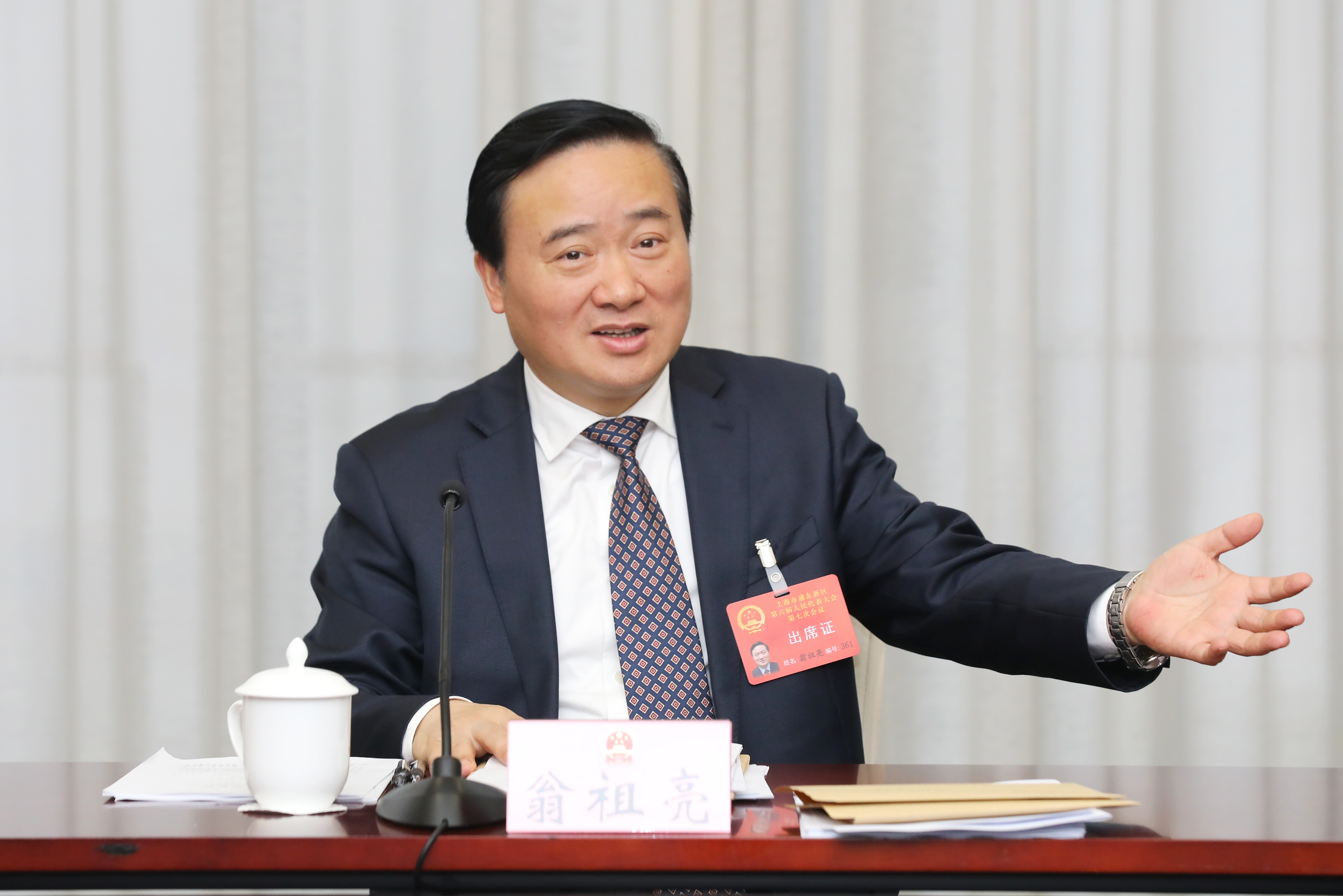 区领导参加人大小组审议 翁祖亮 黄日阅摄.jpg